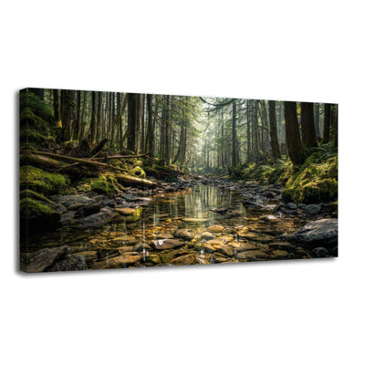Canvas Wall Art Hidden Woodland Creek Moss Lichen Forest Art Wall Decor for Living Room Bathroom Bedroom Office 20"H x 40"W Art Paintings, Ready to Hang