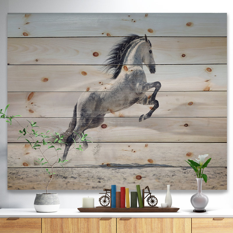 Photographie d'un cheval blanc au galop, H 30 po x l 40 po x P 1,5 po, Bois