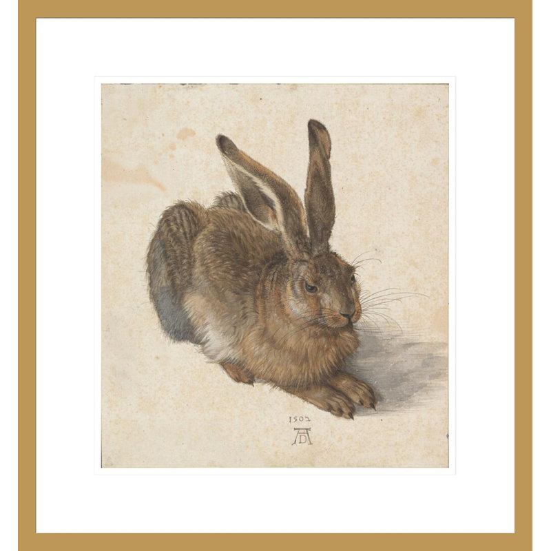 «Young Hare» par Albrecht Dürer, impression giclée sur cadre, H 19,02 po x l 17,75 po