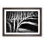 The Stripes of the Zebra in Abstract - Picture Frame Graphic Art Print-55771018-55771023