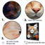 «Ragamuffin Radiance Cat Collage», art mural sur toile-95893768-95893767