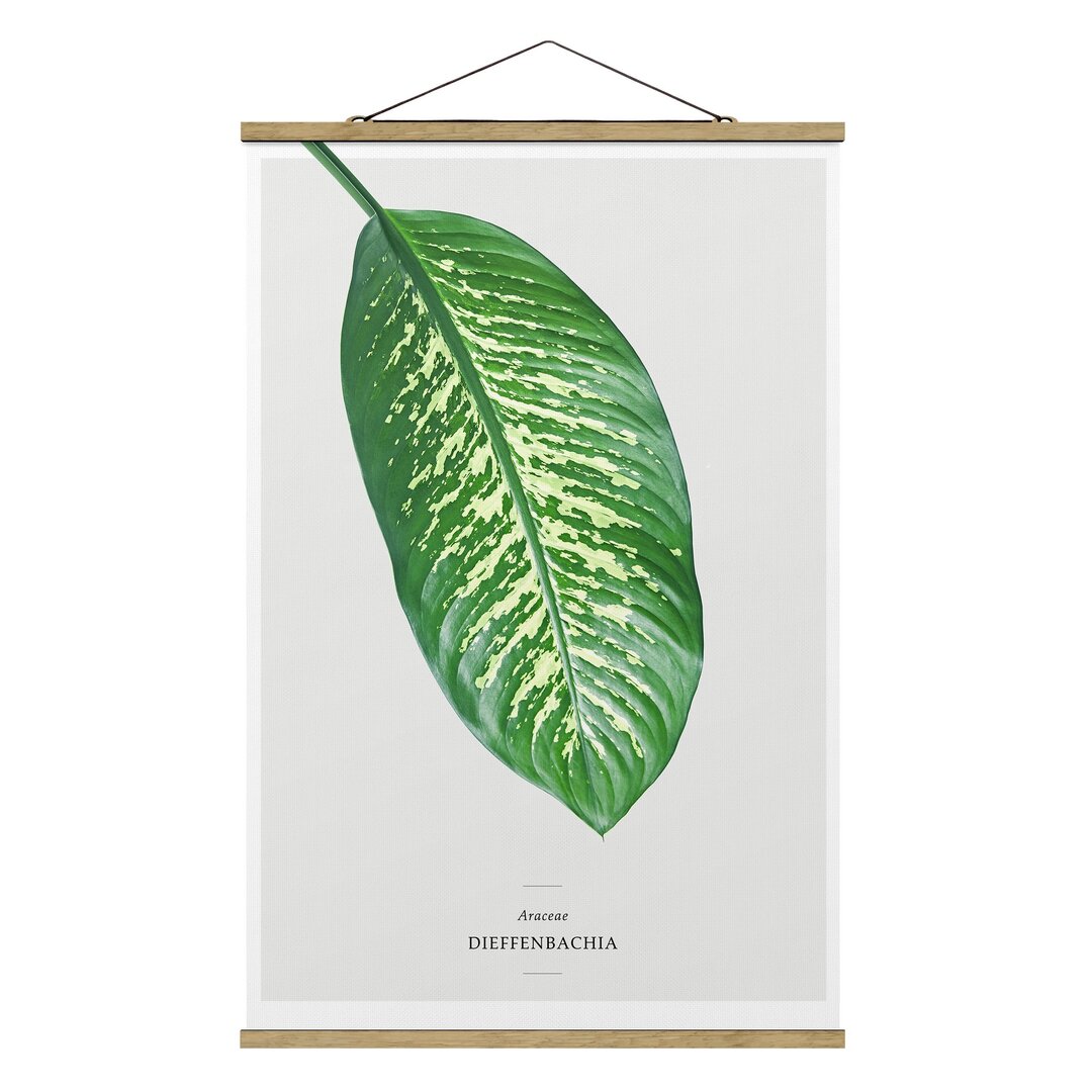 Stoffbild Tropical Leaf Dieffenbachia