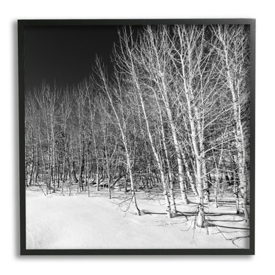 Mystérieuse forêt enneigée imminente, art texturé de bouleau nocturne par Steve Smith