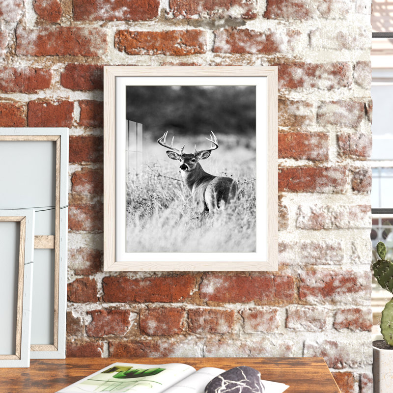 " Grasslands ", White Framed Paper, 37.5" H x 27.5" W x 1.5" D, White
