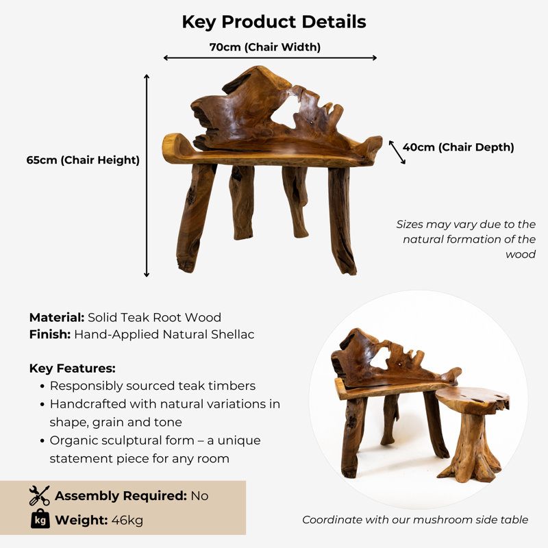 Burruss 70cm Teak Root Chair