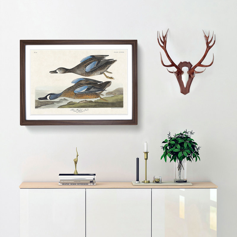 Blue-Winged Teal Ducks by John Audubon - Picture Frame Painting, 35cm H x 50cm W x 2cm D, Walnut