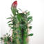 100cm Faux Cactus Plant in Pot Liner