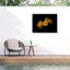 Bolognaise bolivien, Brian Carson, fleurs de jardin 63-98043994