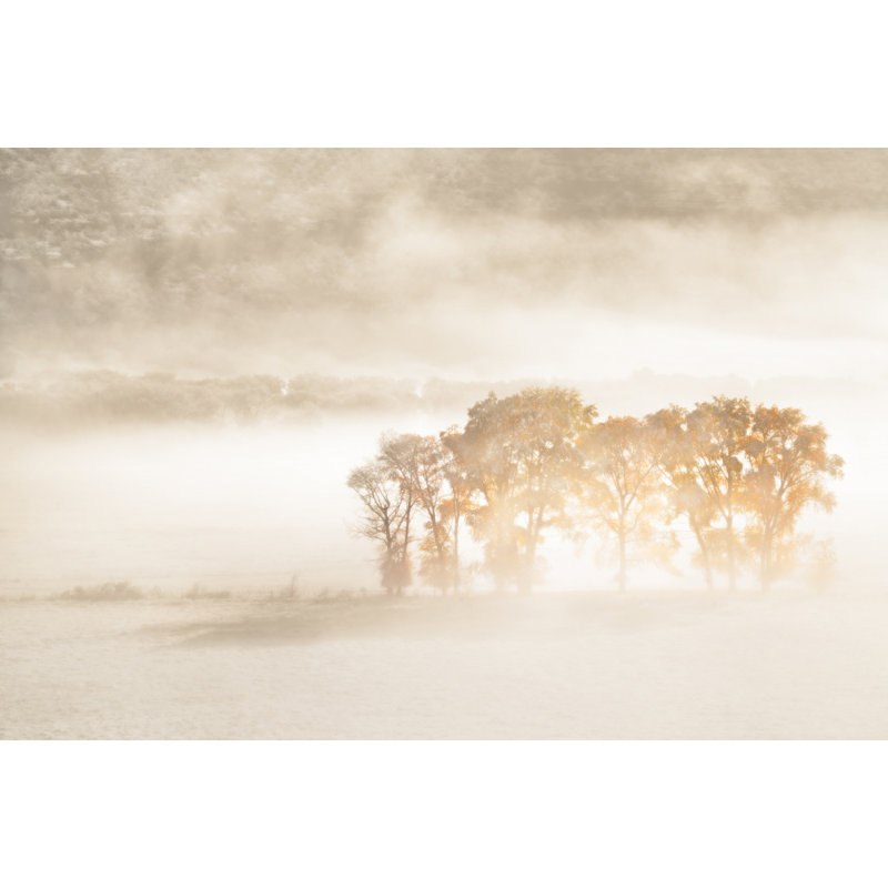 Wrapped Canvas Print, 50.8 cm H x 76.2 cm W