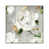 White Framed is unavailable