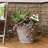 Pepinn 20" x 20" x 14.75" Round Polyresin Outdoor Planter Pot - Beige-661629362-593275874