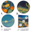 Orange, bleu, désert, cactus, paysage au Mexique II - plantes, art mural-735486083-629467394