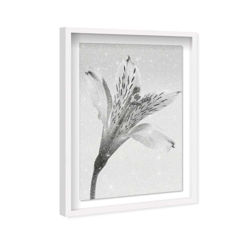 Delicate Spots Framed Graphic Art, 16.5" H x 11.5" W, White Shadowbox