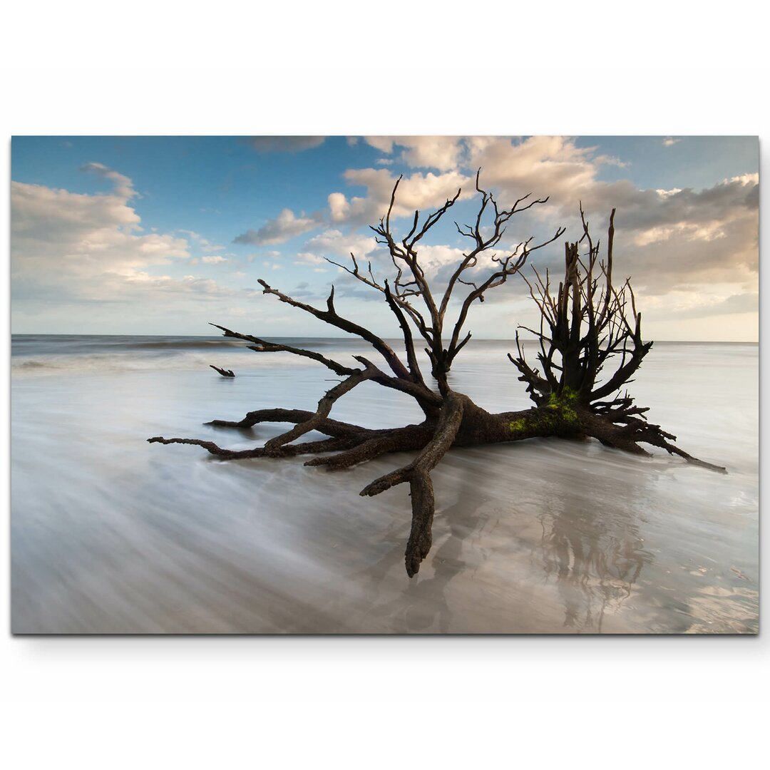 Leinwandbild Baumstumpf am Strand