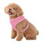 Harnais pour chien en maille, harnais anti-traction ajustable et rembourré avec anneau en D et boucle pour chiens-2013099506-2013099467