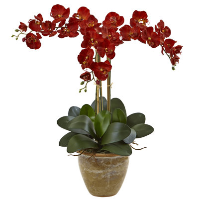 Arrangement floral orchidées dans un vase