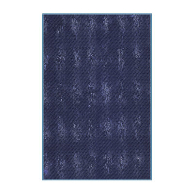 Indoor Rug