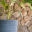 Pot Planter-67026378