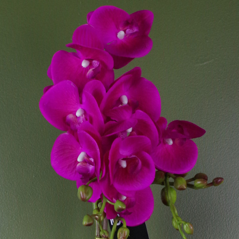 Plastic, Silk Artificial Arrangement in Pot, 54cm H x 20cm W x 20cm D, Pink