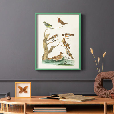 «Antique Birds in Nature III», reproduction encadrée - bois massif