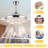Fenisia 42'' Ceiling Fan with LED Lights