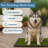 PETMAKER 35.5x23.5in Dog Grass Pad with Tray-2107591383