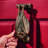 Vampire Bat Cast Iron Door Knocker
