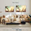 Ravi Sunny Palm Avenue-107713526