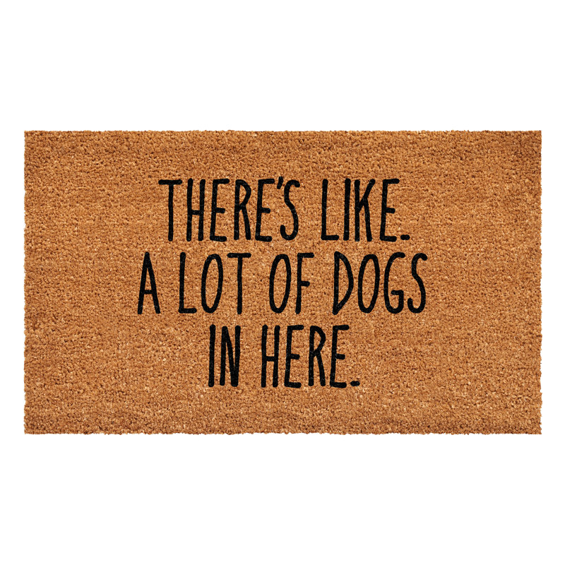 Emis Non-Slip Outdoor Doormat, 30" W x 48" L