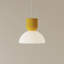 Buia Pendant Light-1099507979-1080129582