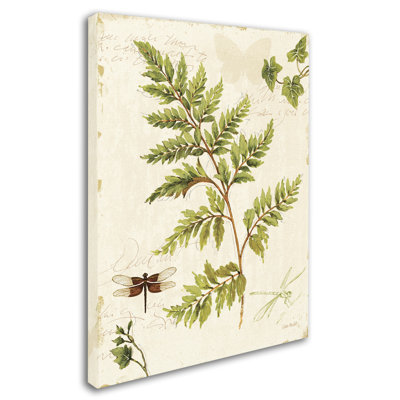 "Ivies and Ferns I" par Lisa Audit, reproduction d'art sur toile tendue