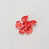 Corail
