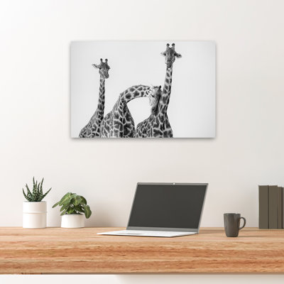 Li - Famille de girafes