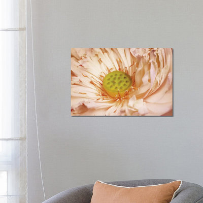 Peaches and Cream 1 Piece Wrapped Canvas Wall Art