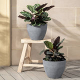 Eldwun Planter