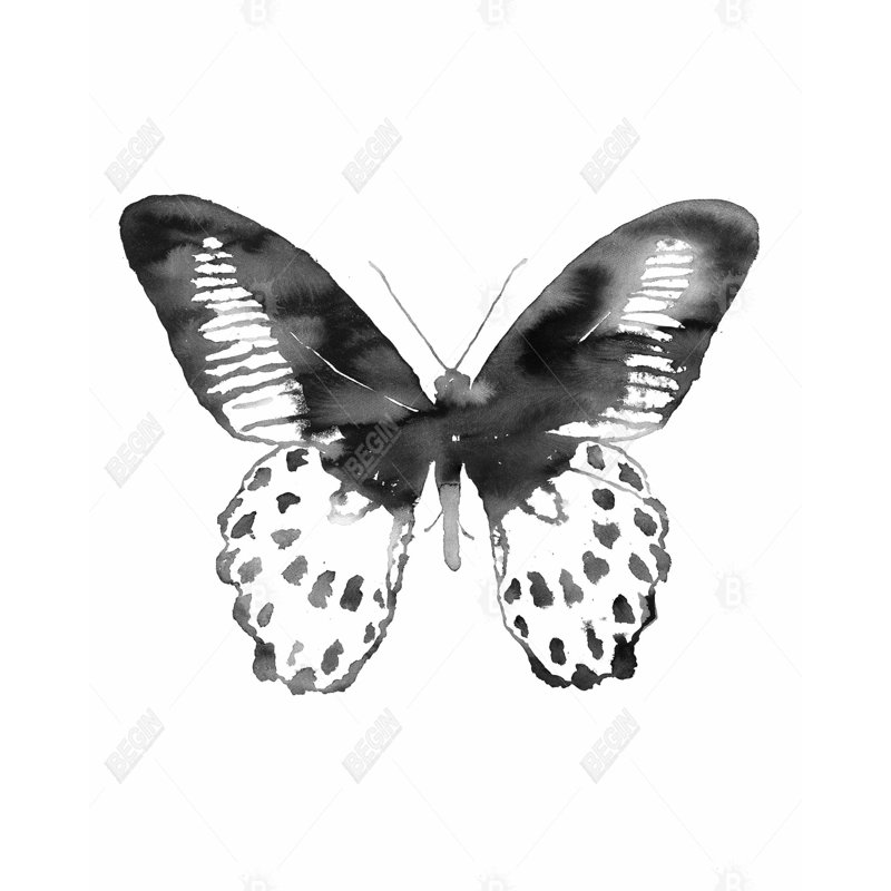 Reproduction de papillon noir sur toile