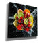 «Fruit Splash III», art mural sur toile-260543969