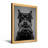 Animals Dog Holding Game Controller In Mouth-1784174429-1784174431-1784174428