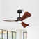 42 In. 3 Abs Blades Indoor Ceiling Fan With Light Kit And Remote