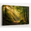 «Forest Light Path», art mural sur toile tendue-1757878259