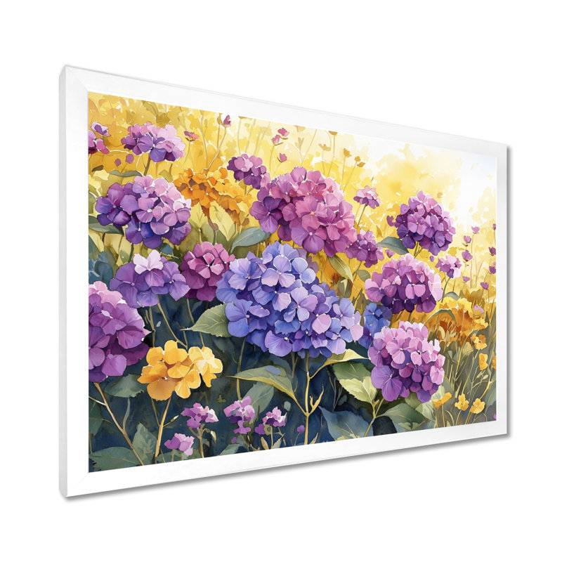 Hortensia d'été jadari en fleurs dans la prairie II - hydrangées, art mural, Reproduction encadrée d'une seule photo, Blanc