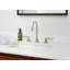 Graceline® Widespread Bathroom Faucet with Drain Assembly-60921211-53636629