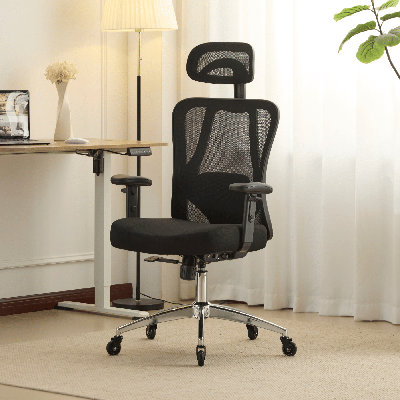 Lumo Black Mesh Office Adjustable Computer Chair with Headrest and Lumbar Support