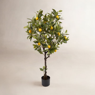 47" Lemon Tree in Pot