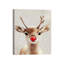 Decki Wrapped Canvas Print-1028359142