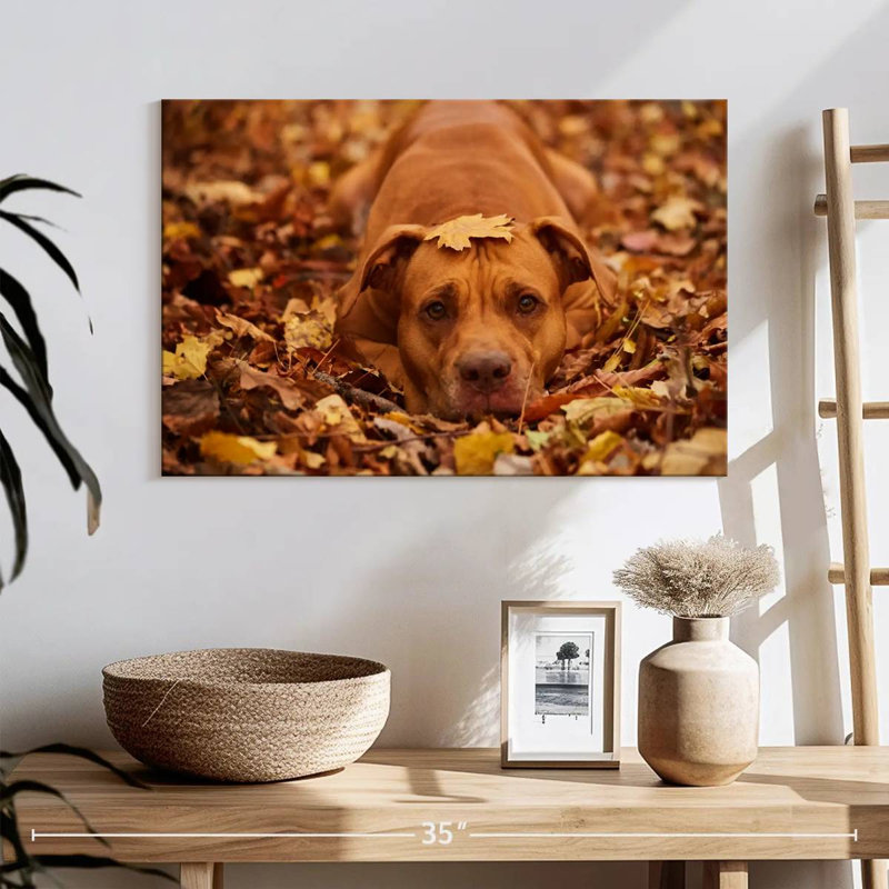 Cute Autumn Pitbull