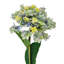 French Hydrangea   Set of 6   9" x 6" x 34"   Multicolor