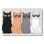 Cool Cats Bath Mat For Bathroom, 16 X 24 Inches