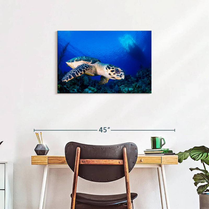 Brampt Underwater Hawksbill Turtle, 20" H x 30" W
