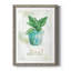 Basilic en pot - peinture-664627821-664627793